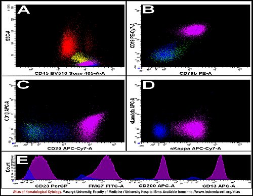 PB flow cytometry