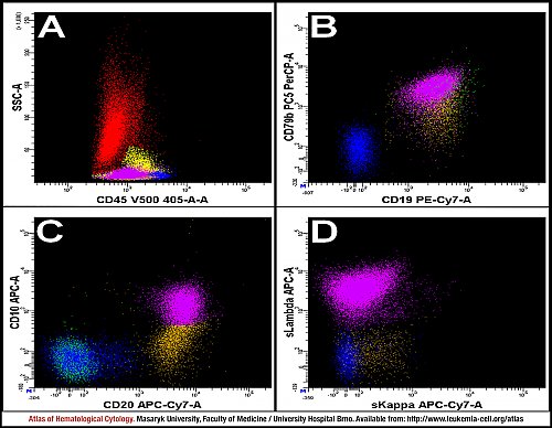 PB flow cytometry