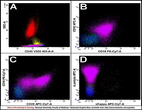 PB flow cytometry