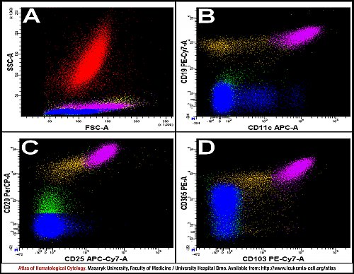 PB flow cytometry