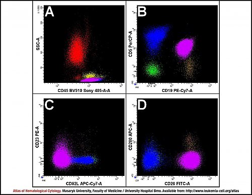 PB flow cytometry