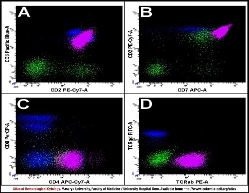 PB flow cytometry